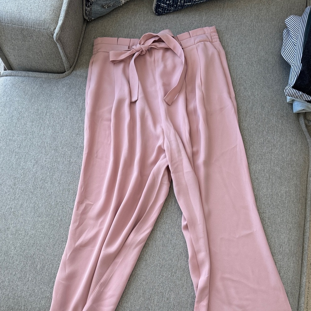 Zara Women's Blush Wide Leg Tie-Waist Pants